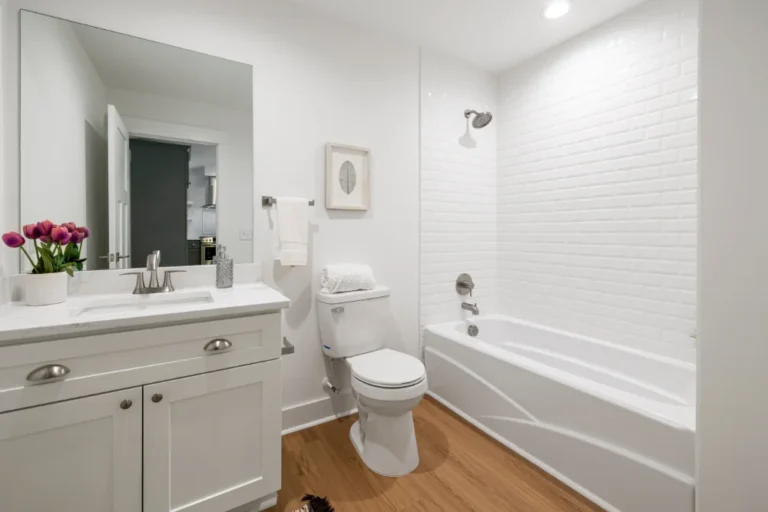 Bathroom toilet blocked