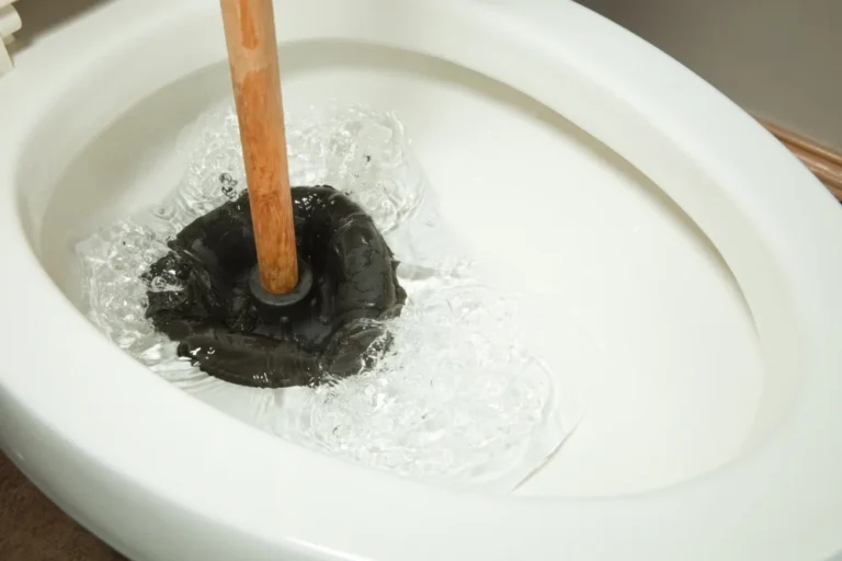 Plunger in toilet